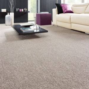 StainSafe Saxon King